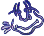 ▒ 333 (8KB)